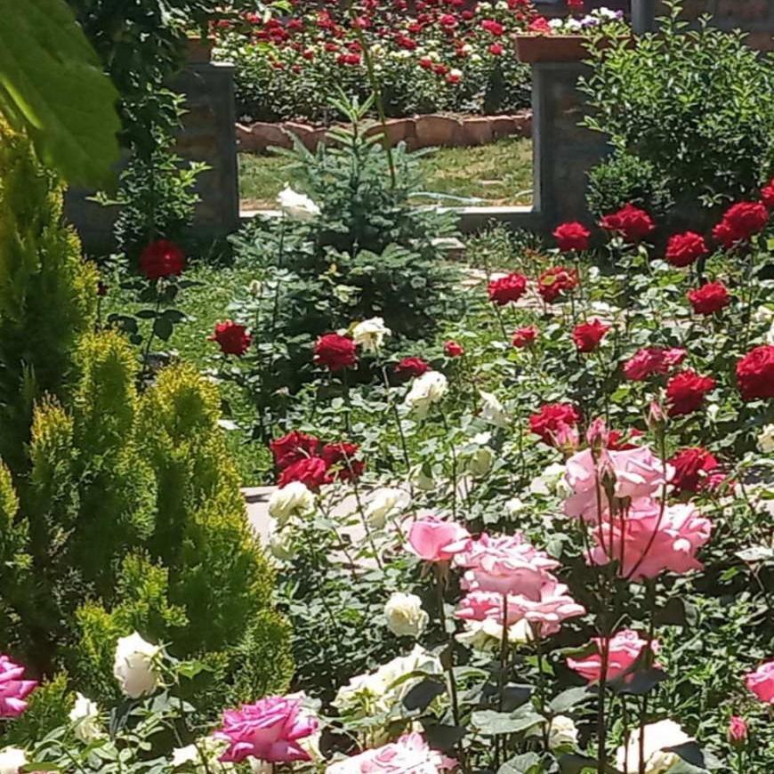 Guest House Hasmik Yeghegnadzor Екстериор снимка